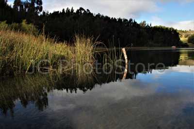 Aguas quietas reflejando la luz en un rincón de la laguna de Tota en Colombia.