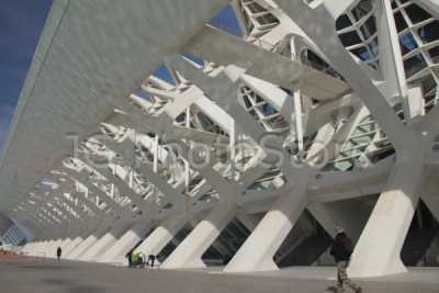Sorprendetes estructuras y formas en la Ciudad de las Artes y las Ciencias de Valencia.
