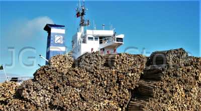 Vessel berthed and ready to load a cargo of wood logs