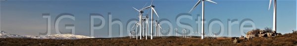 Lineup of wind turbines