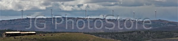 Wind farm in Medinaceli, Castilla y León.