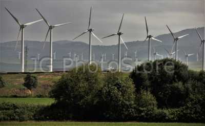 Wind farm in Tarifa