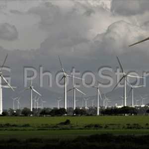 Wind farms around Tarifa.