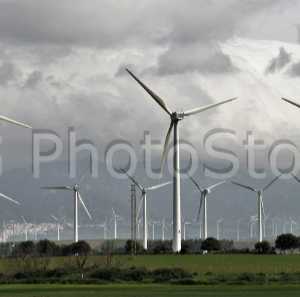 Tahivilla in Cádiz  has more than 100 wind mills.