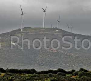 West wind. Wind farm near Tarifa.