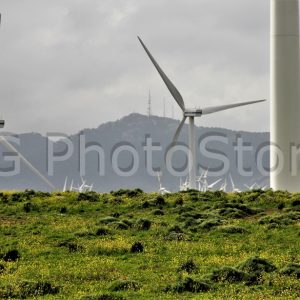 Wind mills of 2000 KW higher than 100m