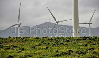 Wind mills of 2000 KW higher than 100m
