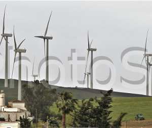 Wind mills near the coast of Tarifa