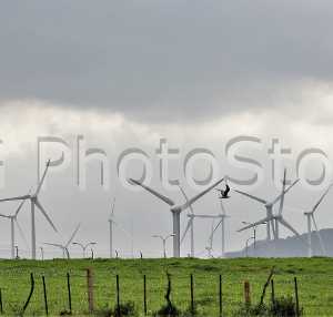 Wind mills in a wind farm in Andalucía