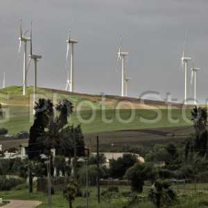 Wind farm in Bolonia