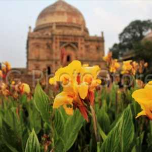 Lodhi Gardens in New Delhi