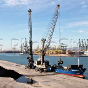 Traffic of dry bulk cargoes at the port of Valencia