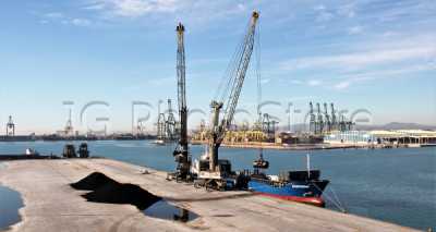 Tráfico de graneles sólidos en el puerto de Valencia