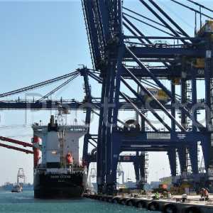 APM container terminal at the port of Valencia